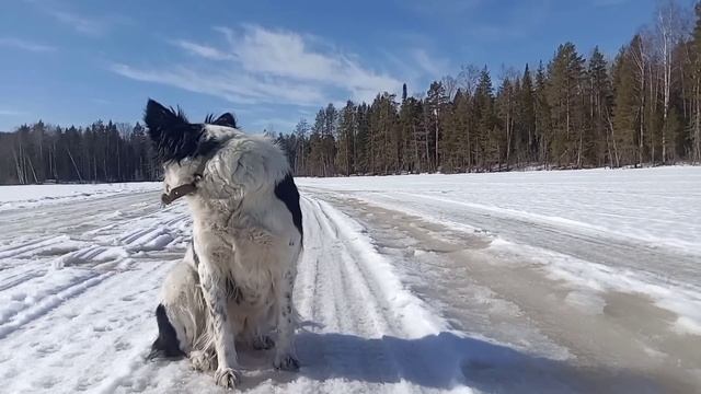 О это невероятное таёжное озеро. Лесные избушки. Рыбалка по последнему льду. смотреть онлайн