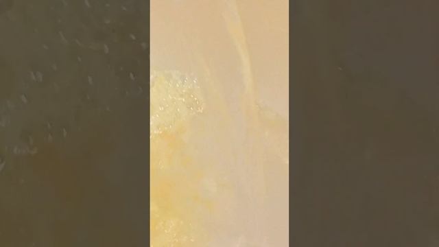 Грибной суп