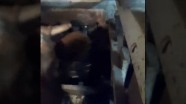 Отзыв о чугунной поилке для КРС на 25 л Ничто не вечно кроме поилки Melasty Турция смотреть онлайн