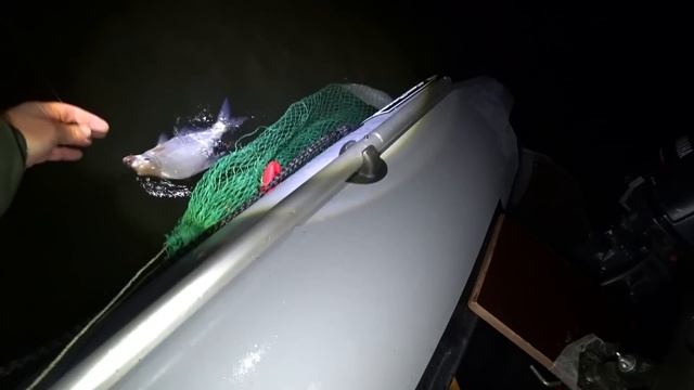 НАЛОВИЛ ЛЕЩЕЙ И ОСТАЛСЯ НА СУДАКА/ рыбалка осенью 2023