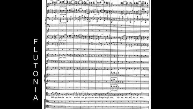 Metronome 100 bpm, Orchestral Accompaniment for Beethoven's Symphony No. 9 Piccolo Solo смотреть онлайн