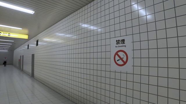 БЕСКОНЕЧНАЯ ИГРА!!! НАКОНЕЦ ТО Я ЭТО СДЕЛАЛ! (The Exit 8)