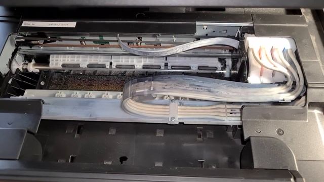 EPSON L222 печатающая головка брак