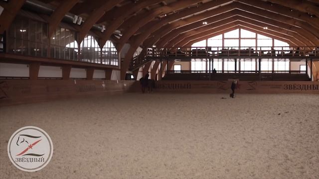 Менка ног на галопе. Выездка. Конный спорт. смотреть онлайн