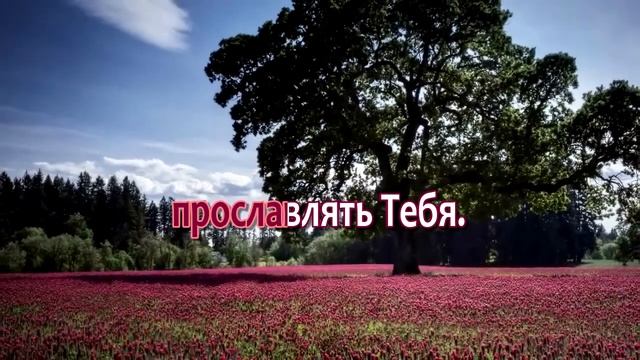 Утром,когда встаёт рассвет, Караоке смотреть онлайн