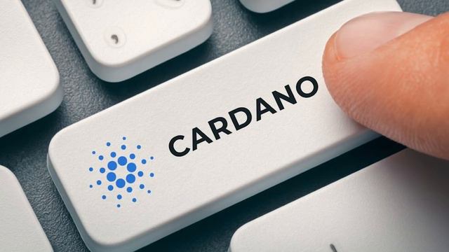 Это произошло! Интеграция завершена – Cardano вместе с Taurus: уже доступно! Сразу после обновления смотреть онлайн