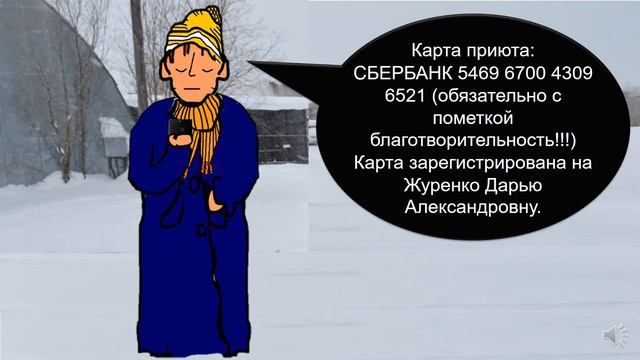 Социальная реклама "Помогите бездомным животным" смотреть онлайн