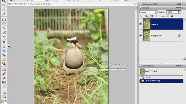 Intro to Photoshop Elements 5 Pt 1 Workflow смотреть онлайн