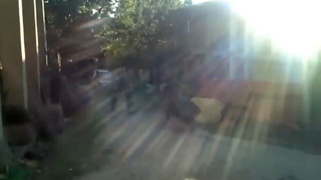 Dve Marije, dve majstorice смотреть онлайн