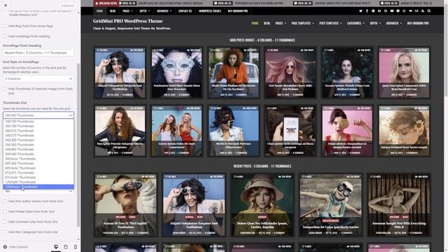 Customizer Theme Options - GridMini PRO WordPress Theme смотреть онлайн