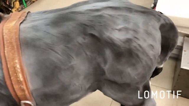 САДОВАЯ ФИГУРА ОСЕЛ БОЛЬШОЙ С ХОМУТОМ Н-96СМ, L-100СМ смотреть онлайн