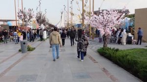 парк Янги Узбекистон | Навруз байрам | Ташкент