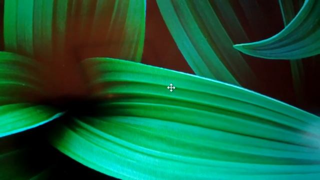 BTO 13CL58 (Clevo W230ST) Touchpad Problem