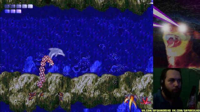 Васильковый дельфин Ecco The Dolphin смотреть онлайн