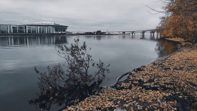 VID 20231024 083707 Я шаг шагну- и оглянусь назад...(Франческо Петрарка)...Павел Васильев Лахтински смотреть онлайн
