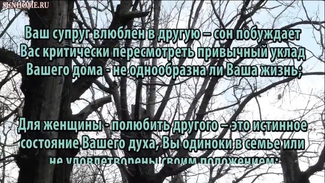 К чему снится Муж сонник, толкование сна смотреть онлайн