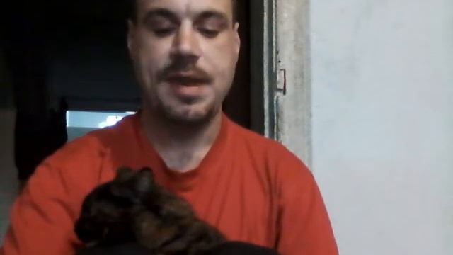 Сильно город Спасск страдает на проезд цена кусает смотреть онлайн