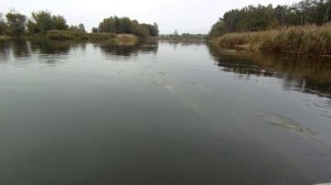 ?10 Рыбалка джерковой снастью на реке Цна. Щука на глайдеры
