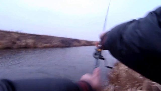 Твич-джигом! Рыбалка на спиннинг под Новый год! Спиннинг Forsage Nitro S-7`6.