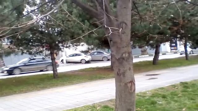 Анапа. Погода.Январь. 06.01.2018. Своими глазами. смотреть онлайн