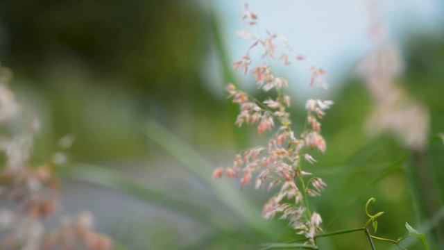 Үтте дә китте яшьлегем...Зөһрә Сәхәбиева смотреть онлайн