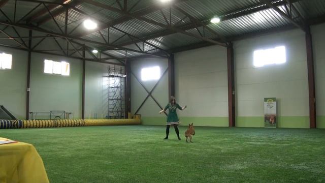 Открытый фристайл Сергеева Марина и Танго смотреть онлайн