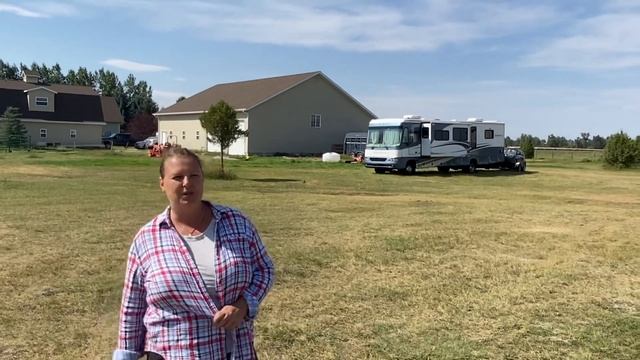 Ферма где разводят Альпака. Штат Монтана! смотреть онлайн