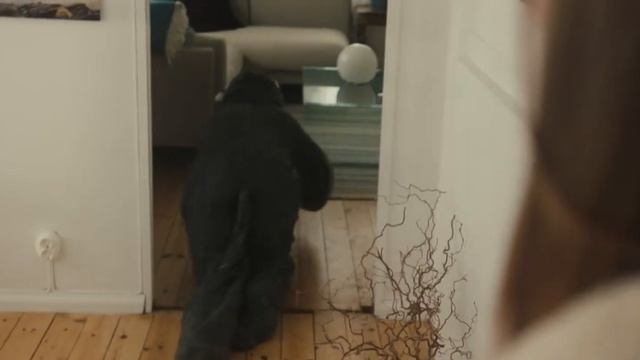 GOOD BOY Filme Completo Legendado