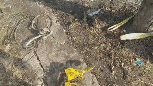 КАК ВЫКОРЧЕВАТЬ ПЕНЬ. СВОИМИ РУКАМИ!