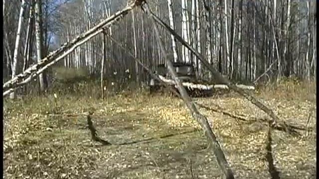Ultimate Hunting Experience смотреть онлайн
