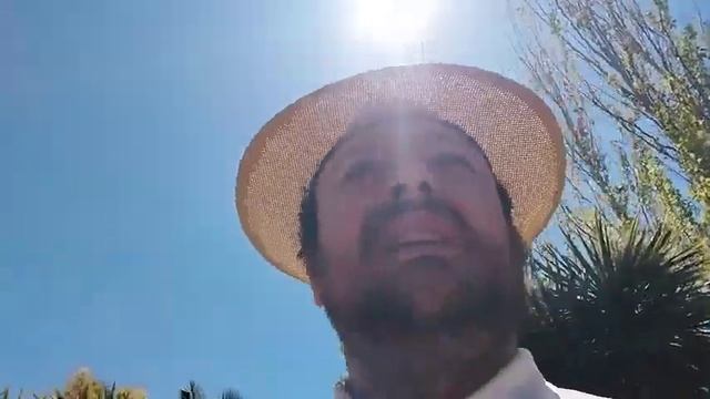 Johannes la democracia y la Monarquía (Jamón Culiao Traidor!) смотреть онлайн