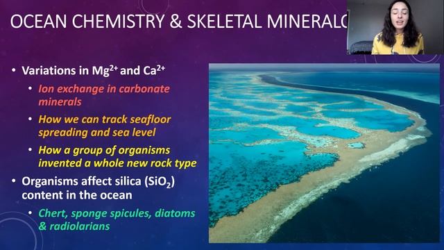 Biogeochemical Cycles: Weathering, C Burial, Anoxia, Ocean Chemistry, & More! | GEO GIRL смотреть онлайн