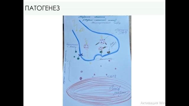 CLOSTRIDIUM BOTULINUM. БОТУЛИЗМ. смотреть онлайн