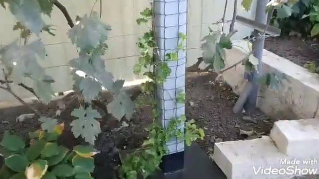 Обустройство патио закончено! Ура! смотреть онлайн