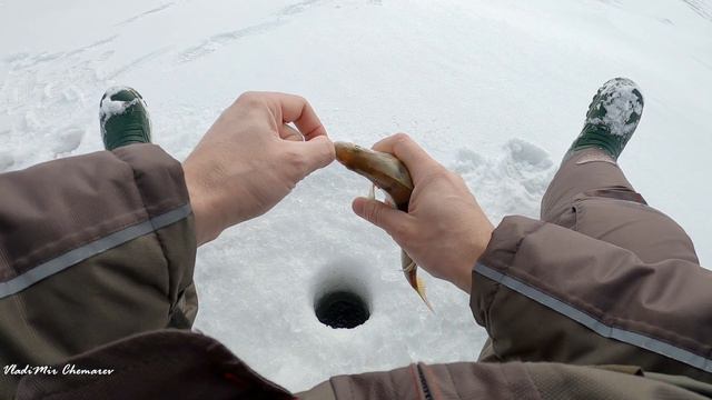 Ловля ОКУНЯ на БЕЗМОТЫЛКУ. Попал на отличную лунку.... смотреть онлайн