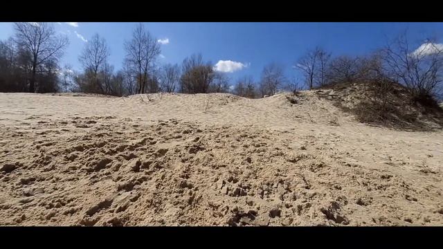 Жизнь собаки в замедленной съемке смотреть онлайн