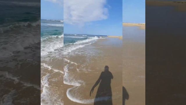 #dominicana #путешевствия Прогулка по пляжам в #Доминикане смотреть онлайн