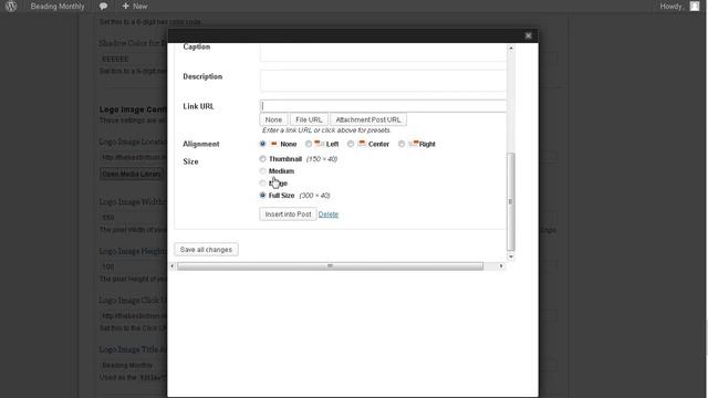 How to setup membership site with wordpress & S2member video -video 3 смотреть онлайн