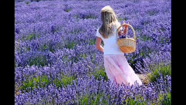 Цветотерапия | видео-релакс. Просто дай глазам отдохнуть смотреть онлайн