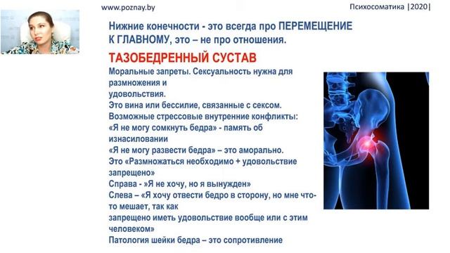 Третья встреча 1 часть Опорно-двигательный аппарат.webm смотреть онлайн