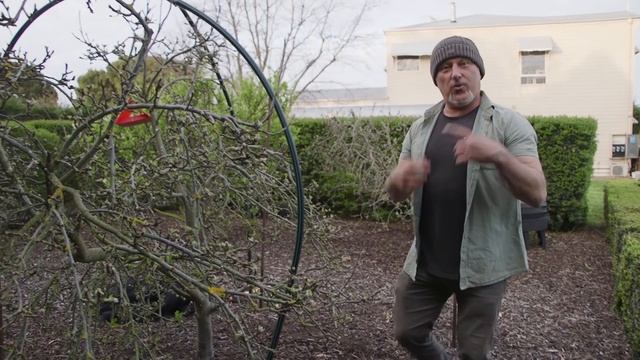 How To Build A Bird Netting Frame Using Poly Pipe And Steel смотреть онлайн