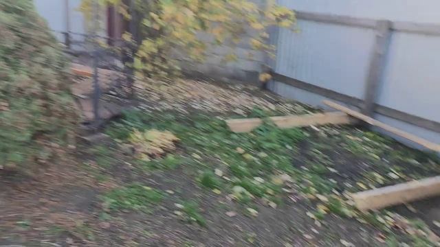 Баню под снос!!! смотреть онлайн