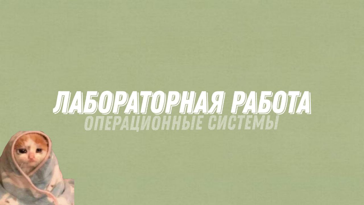 Операционные системы. Лабораторная работа №1. Защита презентации смотреть онлайн