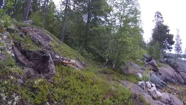 На байдарке по Белому морю - Чупинская губа 7/7 | Ковда - Чупа 2014 смотреть онлайн
