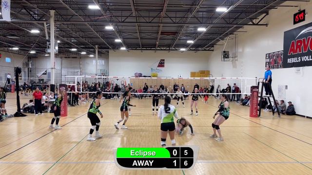 NM Cactus Eclipse Chile Spike смотреть онлайн