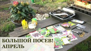 БОЛЬШОЙ посев на рассаду В АПРЕЛЕ / Что посеять на рассаду в апреле