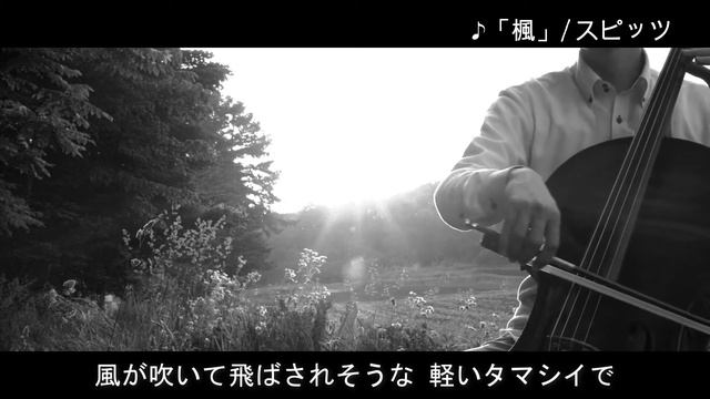 [チェロが奏でるスピッツ] 『楓』スピッツ-アルバム「フェイクファー」より смотреть онлайн