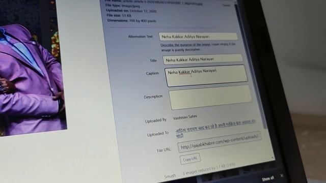 How to change the alt tags, caption and description in WordPress смотреть онлайн