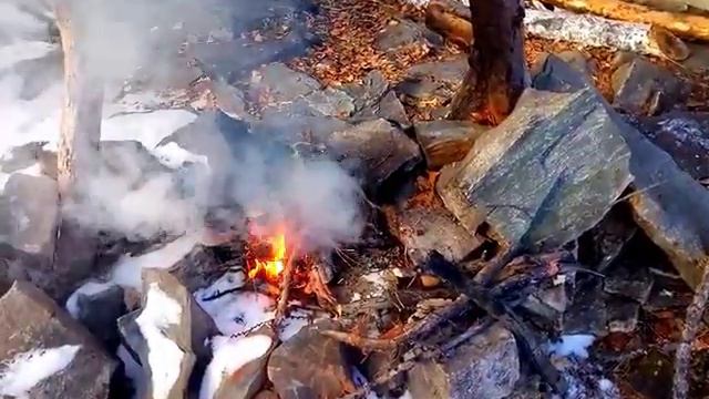 ГРАНАТОВОЕ ДЕРЕВО: Письмо для ДСД aka Некто М смотреть онлайн