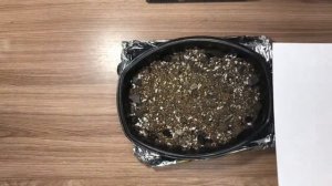 Как посадить семена суккулентов с AliExpress подручными средствами/Инструкция для ленивых